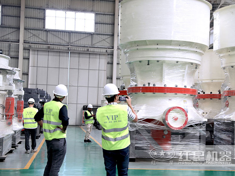 紅星機器廠家實地考察